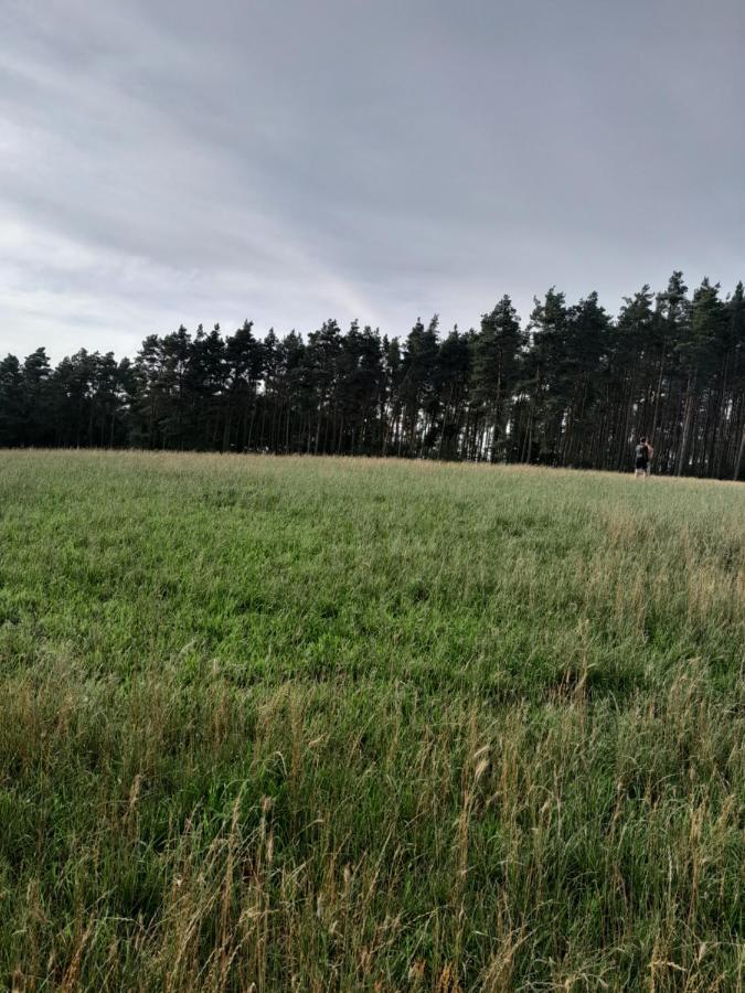 Przystanek Las Gąsawa Exterior foto