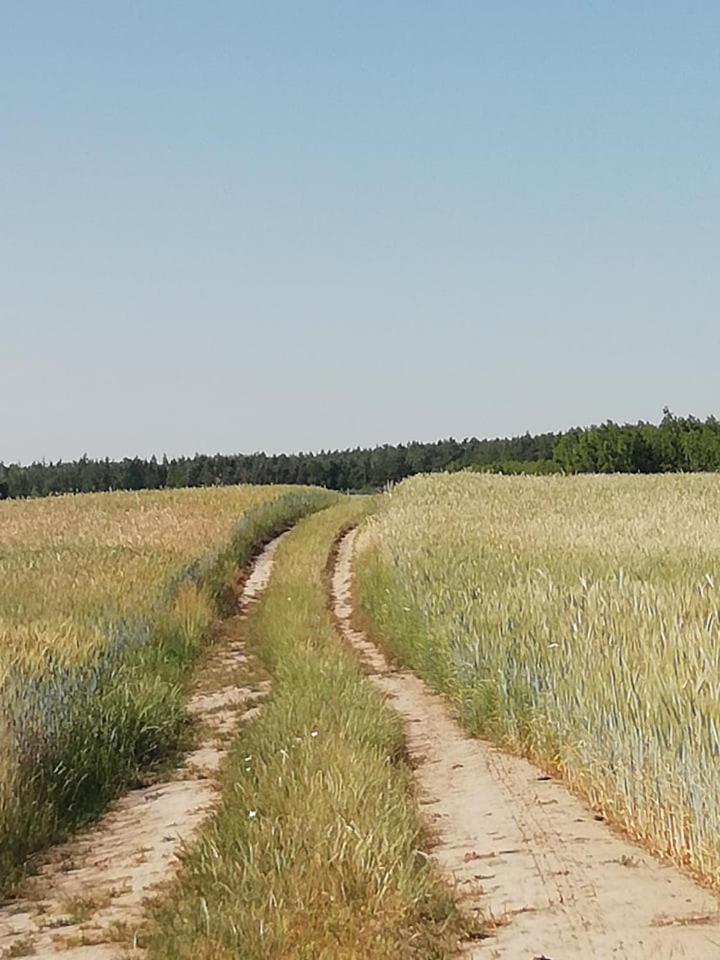Przystanek Las Gąsawa Exterior foto